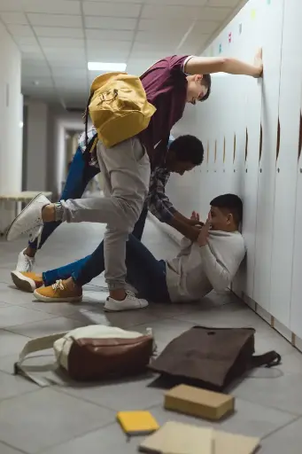Bullying in Schools