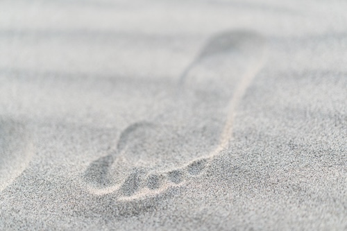 Digital Footprint